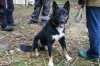 DSC04210.JPG