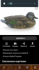 Screenshot_20190208-104512.png