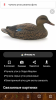 Screenshot_20190208-104448.png