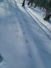 IMG_20190210_135412.jpg