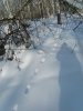 IMG_20190210_135426.jpg