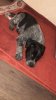 IMG-20190126-WA0006.jpg