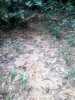 IMG_20190124_170636.jpg