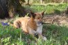 DSC03806.JPG