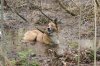 DSC03815.JPG