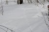 DSC_8254.JPG