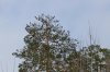 DSC_8258.JPG