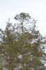 DSC_8265.JPG