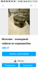 Screenshot_20190322-173125.png