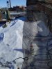 20190322_163427.jpg