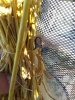 20190322_164648.jpg