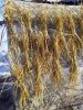 20190322_165359.jpg