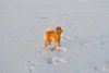 _DSC0137.JPG