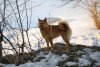 _DSC0152.JPG