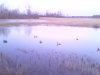 IMG0358A.jpg