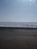 20190326_123124.jpg