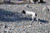 DSC_0239.JPG