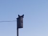20190328_190202.jpg