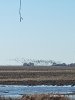 IMG_20190406_171658.jpg