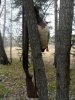 IMG-20180821-WA0026.jpg