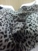 IMG_20190409_122924.jpg