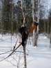 IMG_20190225_121630.jpg
