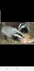 Screenshot_20190503-174610.jpg