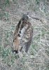 IMG_20190503_224840.jpg