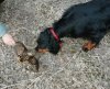 IMG_20190504_231326.jpg