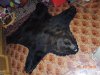 DSCN1634.JPG