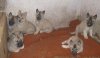 Копия Изображение 1411.jpg