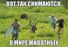 АПС.jpg