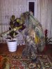 DSC00232.JPG