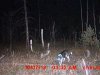 MDGC0005.JPG