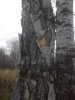 IMG00575.jpg