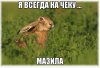 ZUpPsDSQJAk.jpg