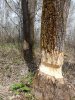 20190518_115418.jpg