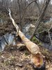 20190518_103926.jpg