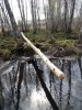 20190518_102748.jpg