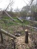 20190518_120817.jpg