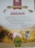 диплом первой степени.jpg
