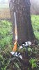 IMG-20190530-WA0013.jpeg