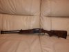 mp-251.jpg