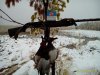 P_20190427_100416_1_p.jpg
