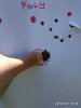 IMG_20190627_151818.jpg