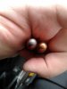20190411_104424.jpg