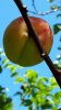 Screenshot_20190703-104315_Gallery.jpg