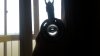 20190725_172304.jpg