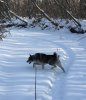 IMG_3038.jpg