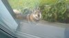 IMG-20190710-WA0047.jpeg